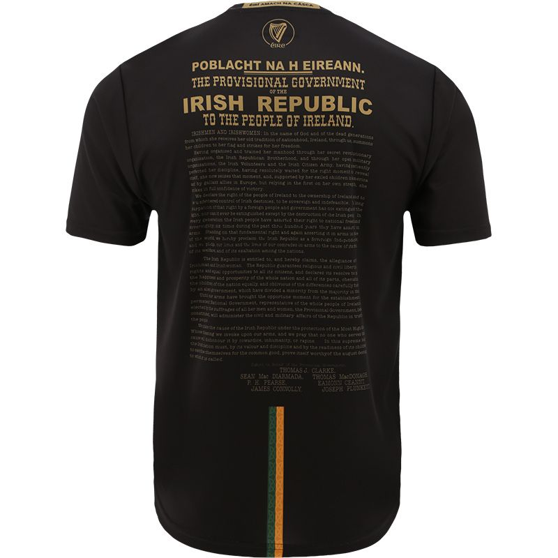GAA 1916 Commemorative