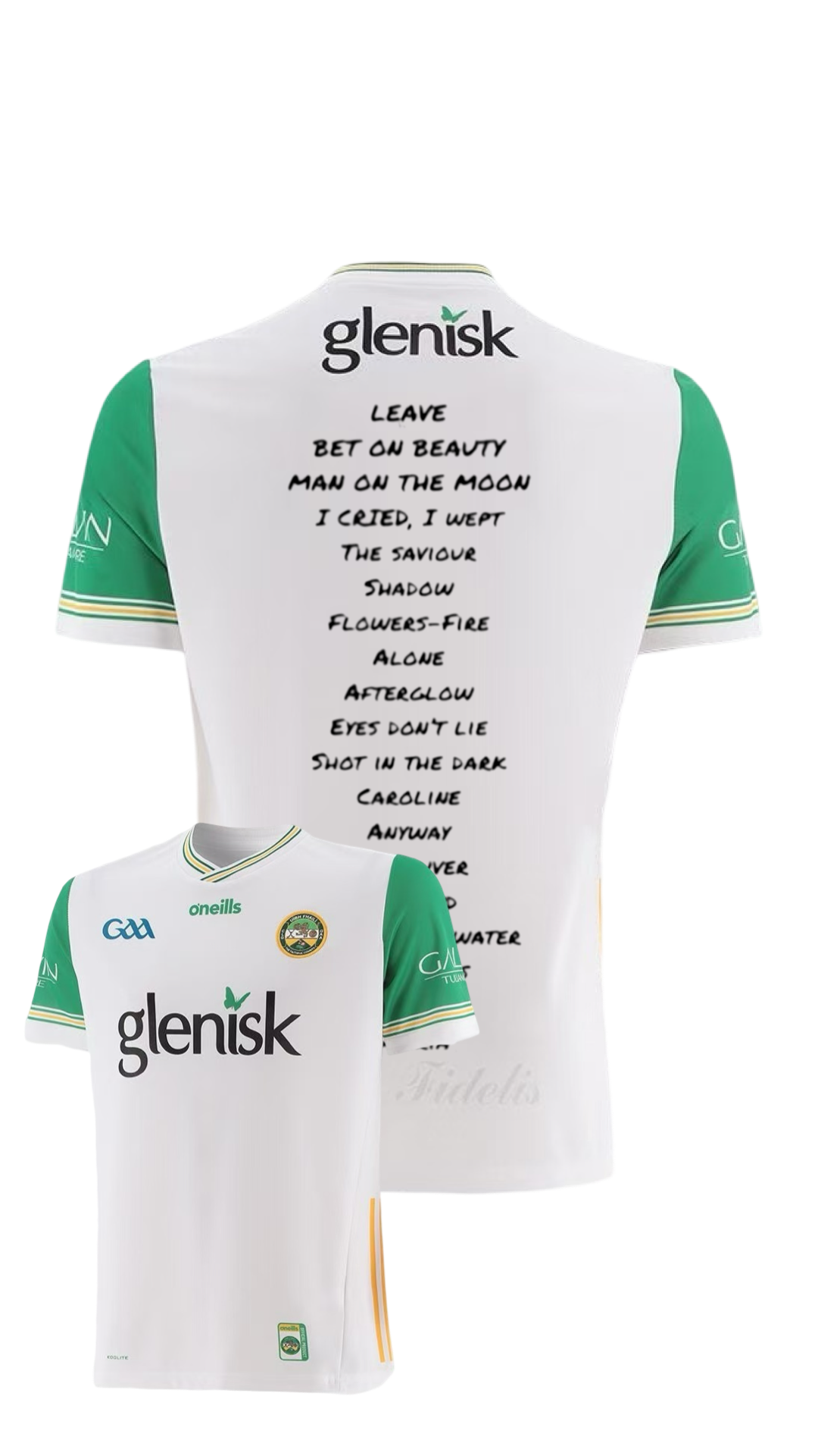 Kingfishr Offaly