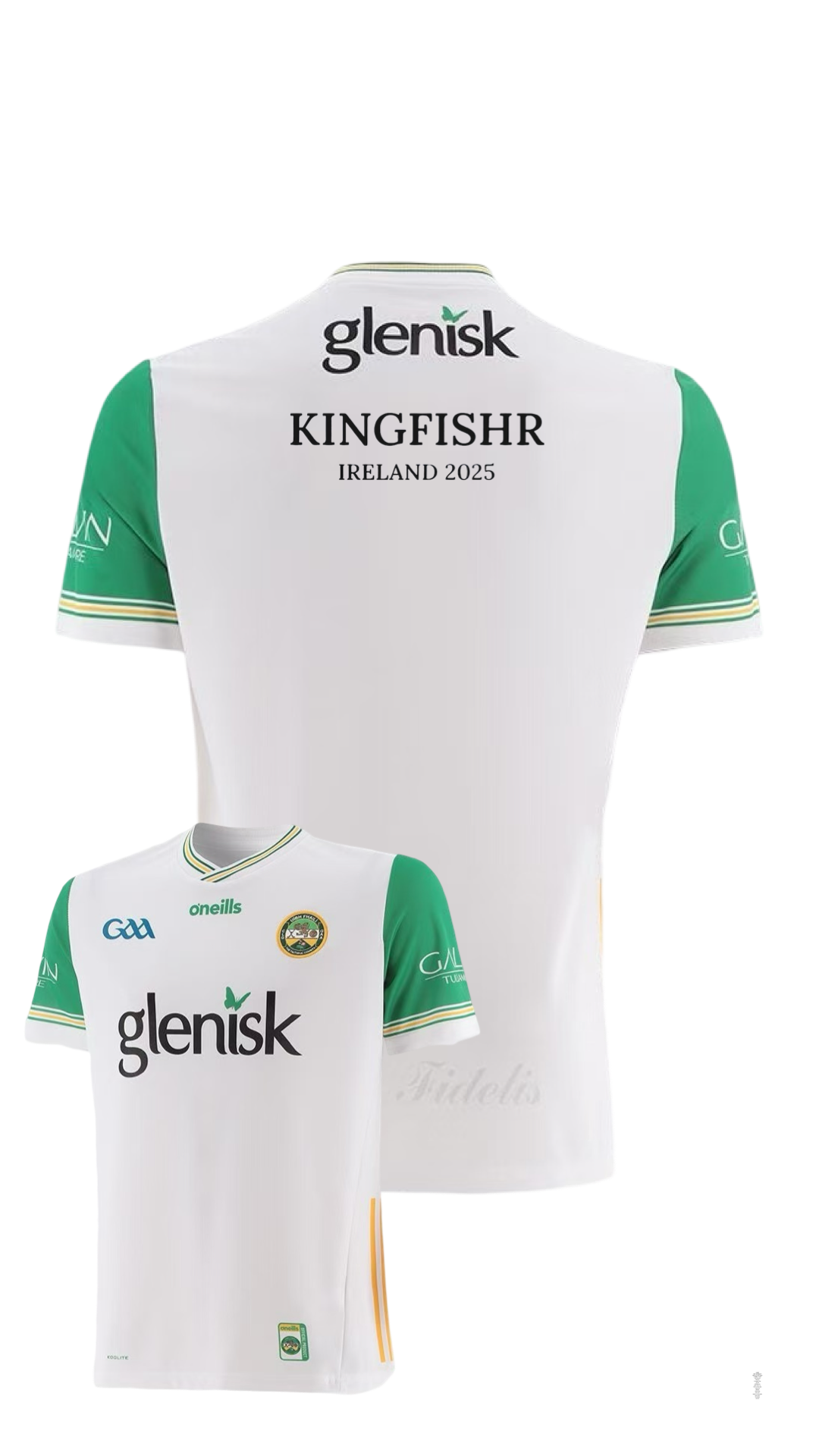 Kingfishr Offaly