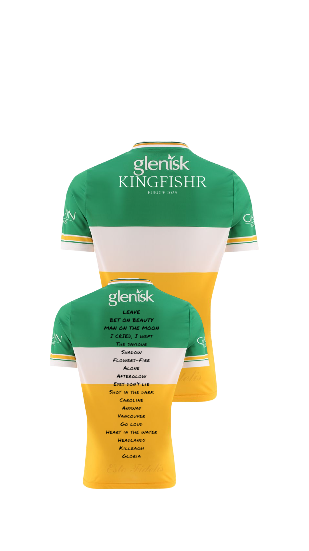 Kingfishr Offaly
