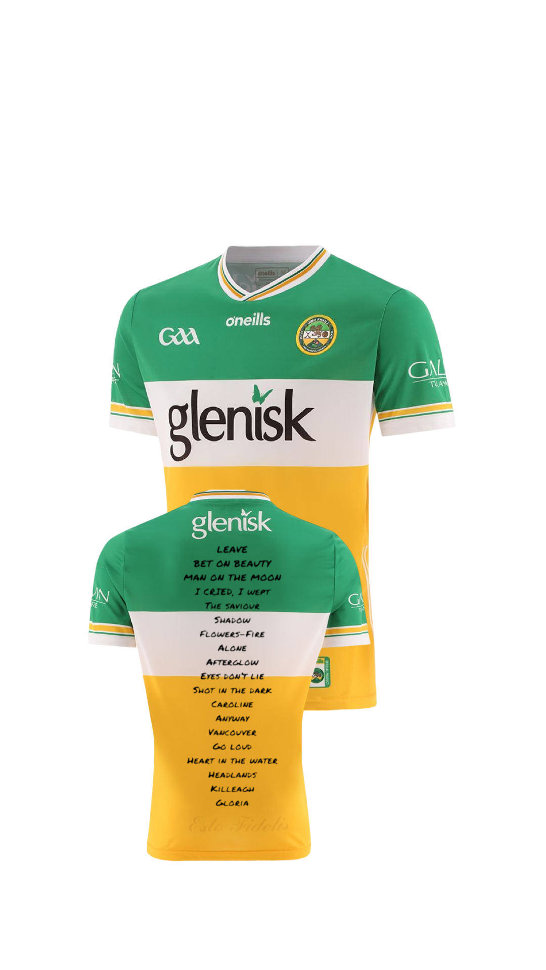 Kingfishr Offaly