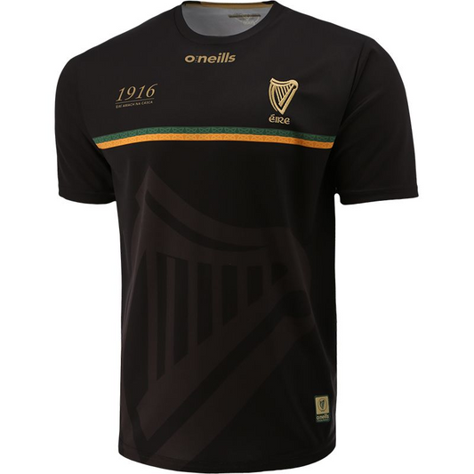 GAA 1916 Commemorative