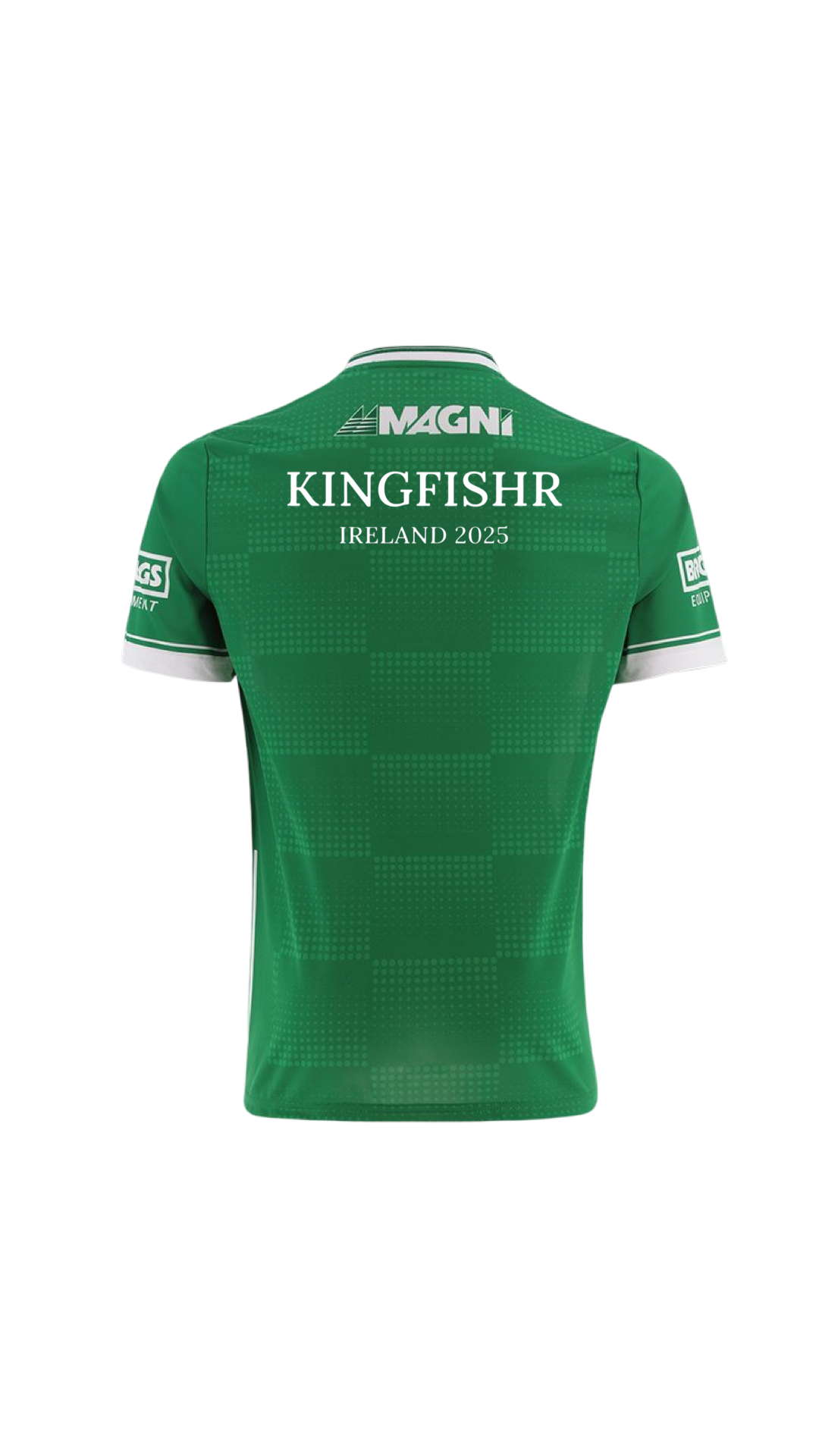 Kingfishr Laois