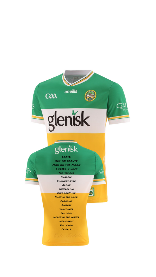 Kingfishr Offaly